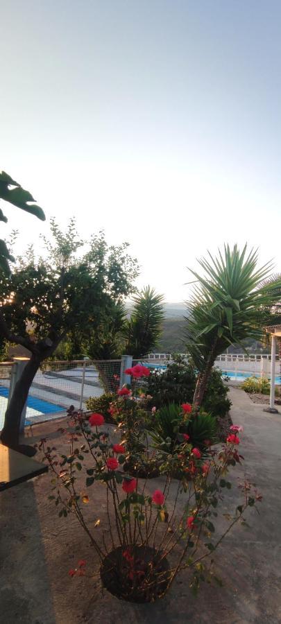 Casa Do Monte Βίλα Castro Daire Εξωτερικό φωτογραφία